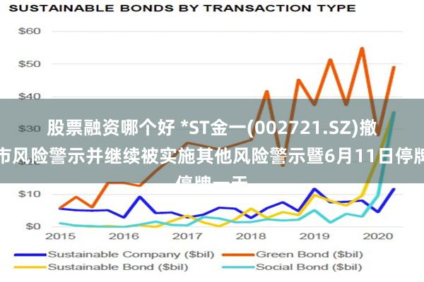 股票融资哪个好 *ST金一(002721.SZ)撤销退市风险警示并继续被实施其他风险警示暨6月11日停牌一天