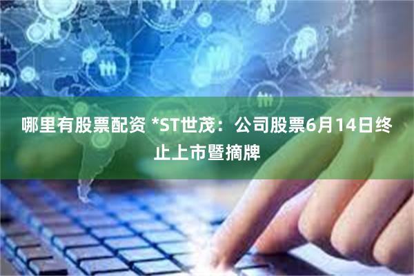 哪里有股票配资 *ST世茂：公司股票6月14日终止上市暨摘牌