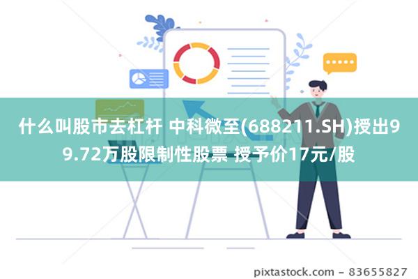 什么叫股市去杠杆 中科微至(688211.SH)授出99.72万股限制性股票 授予价17元/股