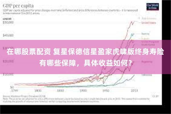 在哪股票配资 复星保德信星盈家虎啸版终身寿险有哪些保障，具体收益如何？