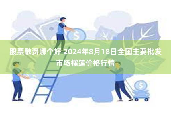 股票融资哪个好 2024年8月18日全国主要批发市场榴莲价格行情