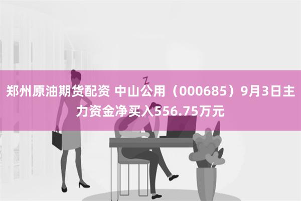 郑州原油期货配资 中山公用（000685）9月3日主力资金净买入556.75万元