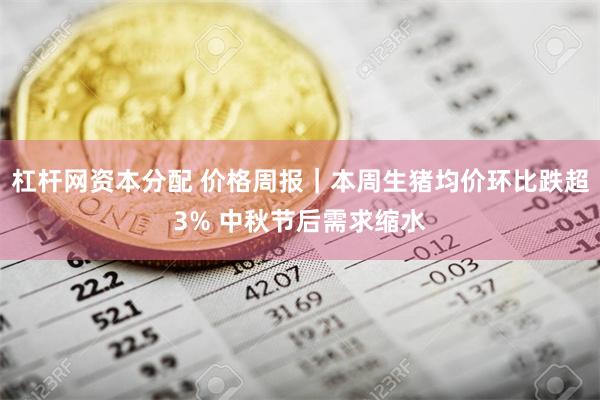 杠杆网资本分配 价格周报｜本周生猪均价环比跌超3% 中秋节后需求缩水