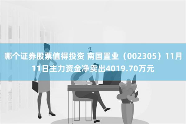 哪个证券股票值得投资 南国置业（002305）11月11日主力资金净卖出4019.70万元