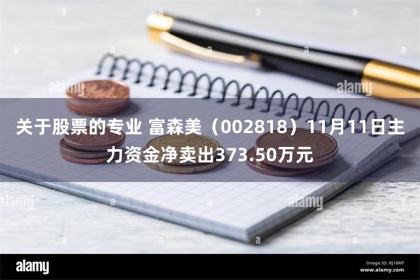 关于股票的专业 富森美（002818）11月11日主力资金净卖出373.50万元