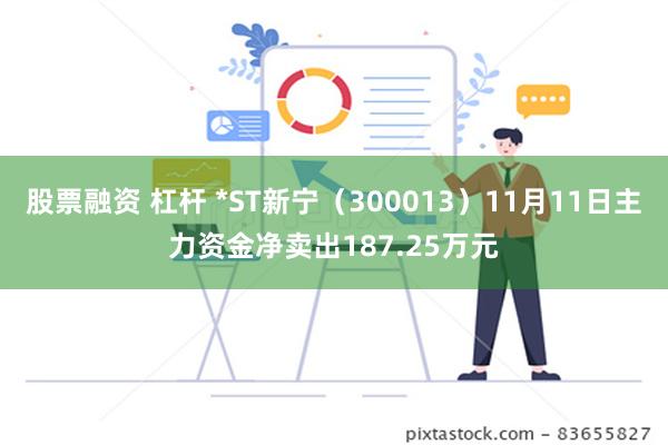 股票融资 杠杆 *ST新宁（300013）11月11日主力资金净卖出187.25万元