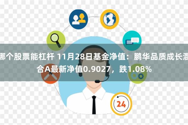 哪个股票能杠杆 11月28日基金净值：鹏华品质成长混合A最新净值0.9027，跌1.08%