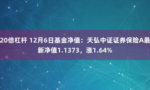 20倍杠杆 12月6日基金净值：天弘中证证券保险A最新净值1.1373，涨1.64%