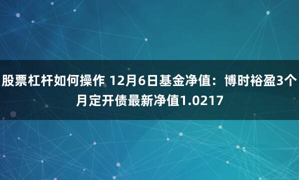 股票杠杆如何操作 12月6日基金净值：博时裕盈3个月定开债最新净值1.0217