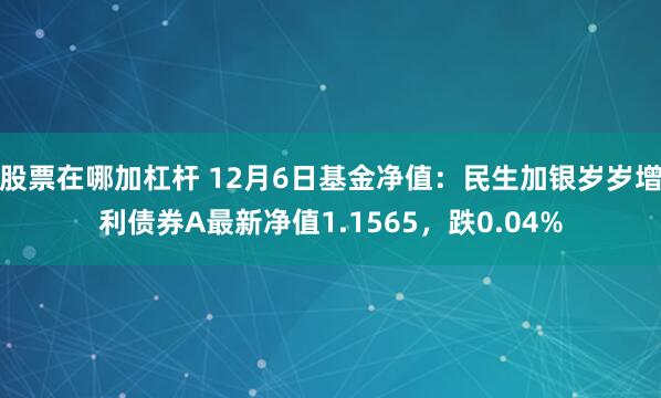 股票在哪加杠杆 12月6日基金净值：民生加银岁岁增利债券A最新净值1.1565，跌0.04%