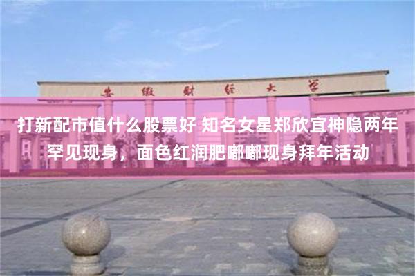 打新配市值什么股票好 知名女星郑欣宜神隐两年罕见现身，面色红润肥嘟嘟现身拜年活动